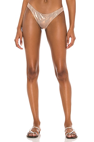 Eva Bikini Bottom Solid & Striped