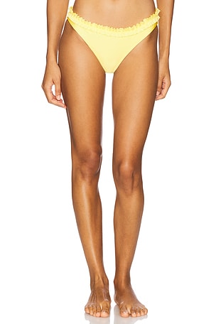 The Cassidy Bikini Bottom Solid & Striped