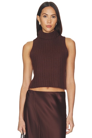 Saige Cropped Turtleneck Top SABLYN
