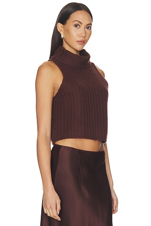 SABLYN Saige Cropped Turtleneck Top in Brown
