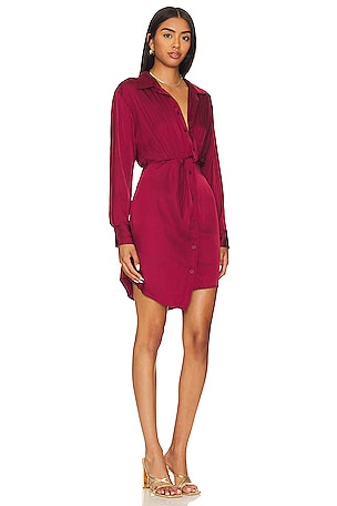 Steve Madden Barcelona Shirt Dress in Wine