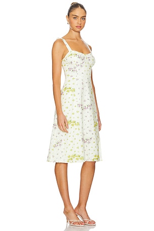 Steve Madden Carlynn Dress in Ivory