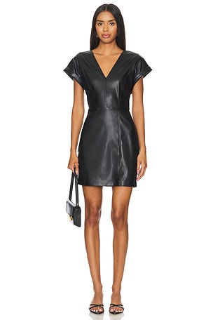 Roslyn Dress Steve Madden