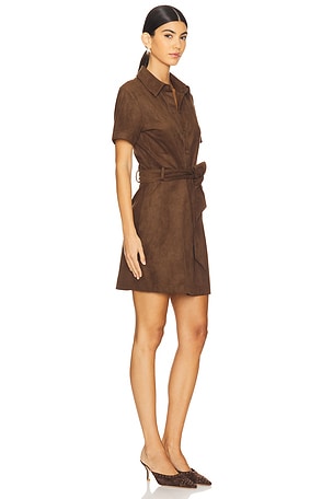 Steve Madden Jolene Dress in Brown