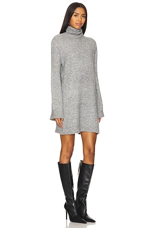 Steve Madden Abbie Sweater Dress in Grey