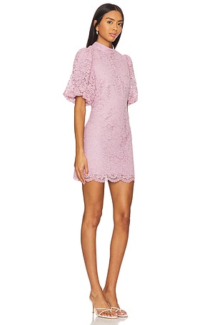 Steve Madden Diya Dress in Mauve