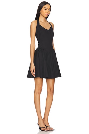 Steve Madden Yala Dress in Black