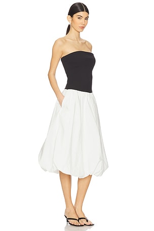 Steve Madden Oliver Dress in Black,White