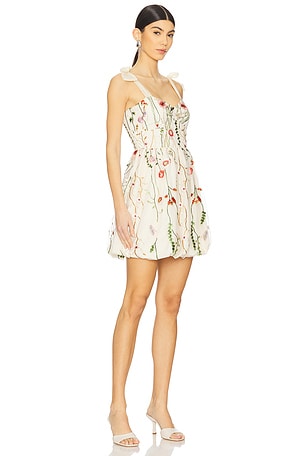 Steve Madden Kavala Dress in Cream