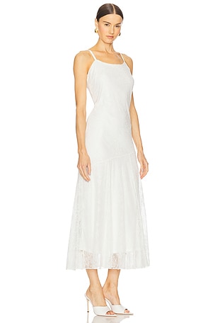 Steve Madden Veera Lace Dress in Cloud Dancer in White