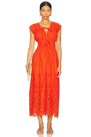 Clementina Dress Steve Madden