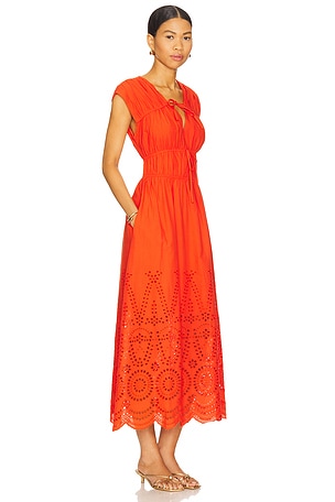 Steve Madden Clementina Dress in Orange