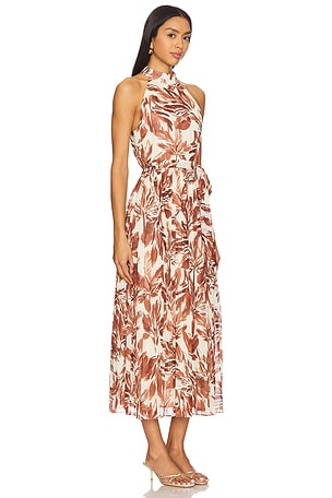 Steve Madden Rosemary Dress in Rust