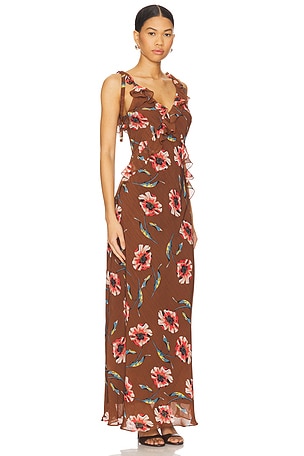 Steve Madden Adalina Dress in Brown