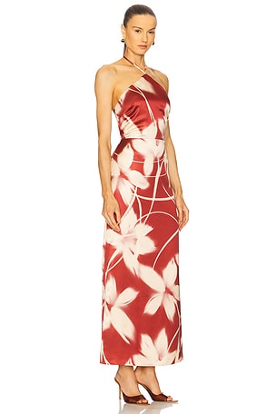 Steve Madden Oaklyn Dress in Rust