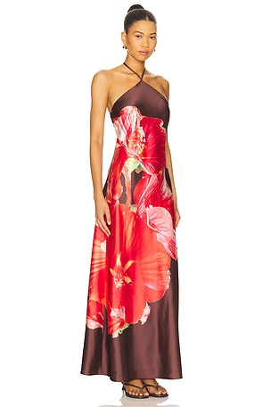 Steve Madden Flora Dress in Chocolate