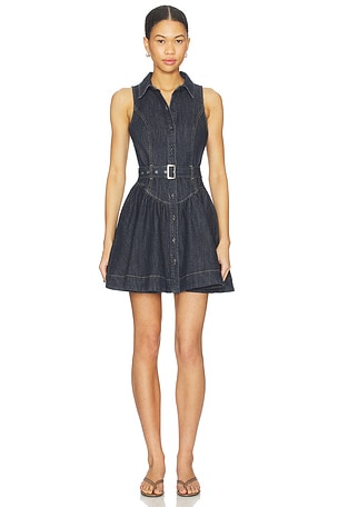 Senia Dress Steve Madden