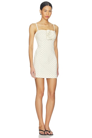 Steve Madden Peony Dress in Ivory