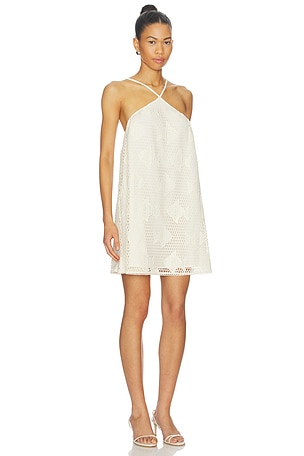 Steve Madden Petunia Dress in Neutral. Size L. Also