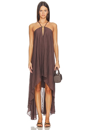 Steve Madden Suzanne Dress in Brown