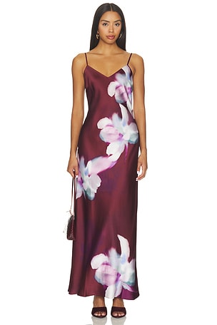 Atara Dress Steve Madden