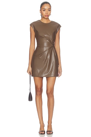 Chiara Mini Dress Steve Madden