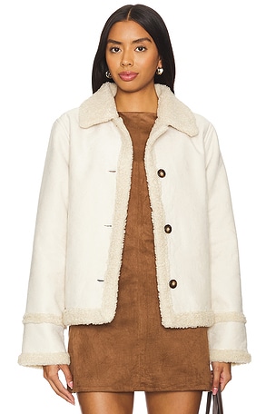 CHAQUETA MIEL Steve Madden