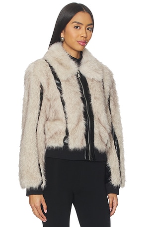 Steve Madden Charmaine Jacket in Neutral