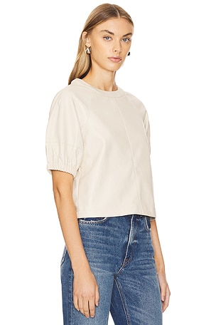 Steve Madden Reilly Top in Ivory
