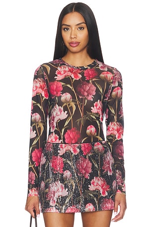 Sandy Knit Top Steve Madden