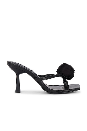 Jannie Sandal Steve Madden