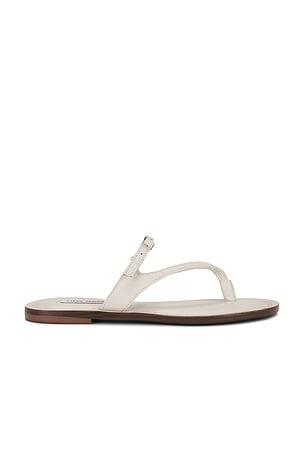 Roca Sandal Steve Madden