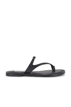 SANDALES ROCA Steve Madden