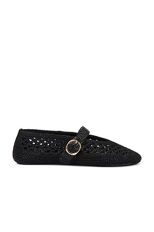 Denice Ballet Flat Steve Madden