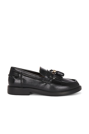 RICHELIEU RADCLIFF Steve Madden