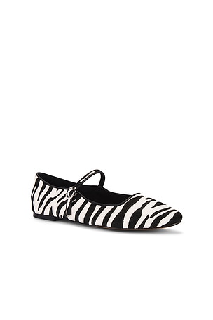 Steve Madden Maple Ballet Flat in Black,White