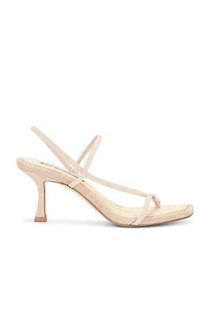 SANDALES LOCKE Steve Madden