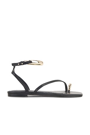 Odyssey Sandal Steve Madden