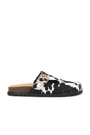 КЛОГИ ATTICUS Steve Madden