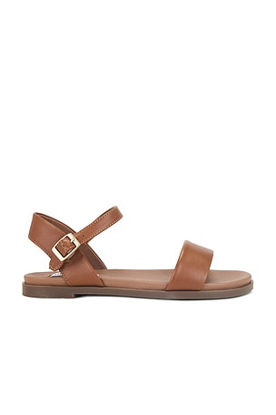 Dina Sandal Steve Madden