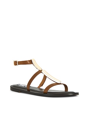 Steve Madden Alma Sandals in Tan