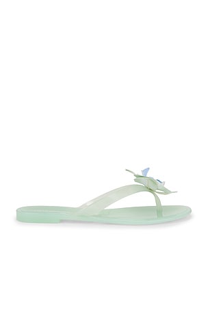 Poppyseed Flip Flops Steve Madden