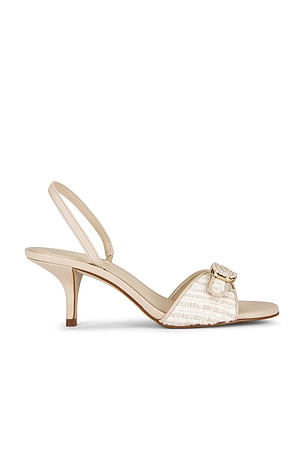 Henrietta-P Sandal Steve Madden