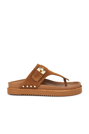 Thona Sandal Steve Madden