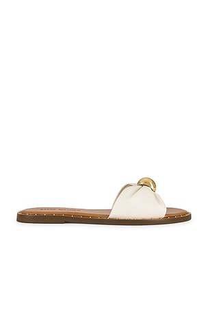 Dipsy Flat Steve Madden