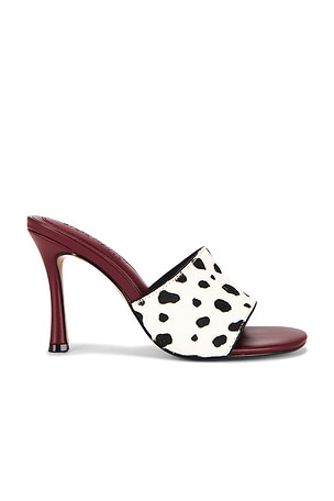 Paula-a Sandal Steve Madden