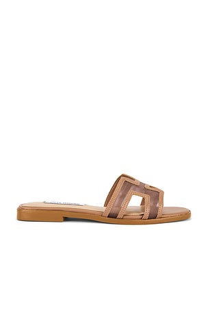 Hadyn Mesh Sandal Steve Madden