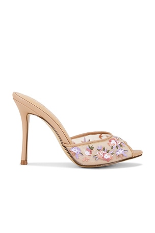 Priya Sandal Steve Madden