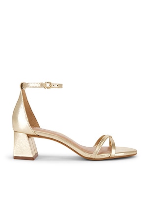 SANDALES RAE Steve Madden