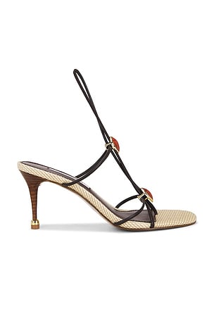Ramos Strappy Sandal Steve Madden